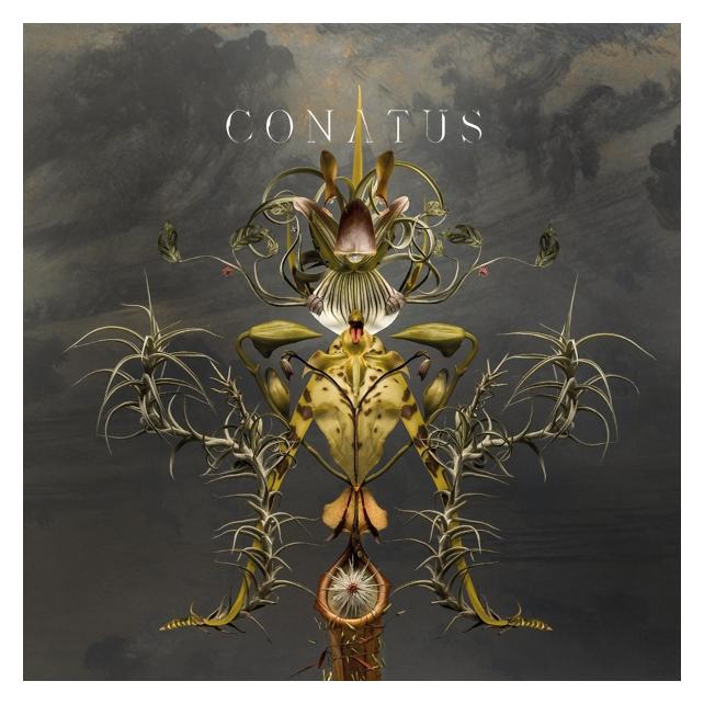 DGG Conatus-JOEP BEVING (Joep Beving) (4799869)