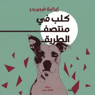 A dog in the middle of the road - Isabela Figueiredo, Audio, 9798901083604