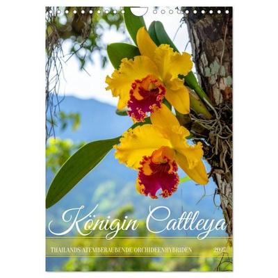 Königin Cattleya (Wandkalender 2027 DIN A4 hoch), CALVENDO Monatskalender