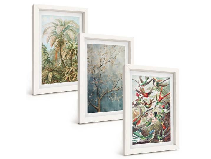 BILDER SET 3er Set - 20x30 cm Weißer Rahmen - Tropische Pflanzen, Vögel, Natur