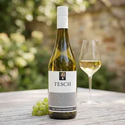 Weingut Tesch 2023 Tesch Weissburgunder T 2023 Weissburgunder Deutschland