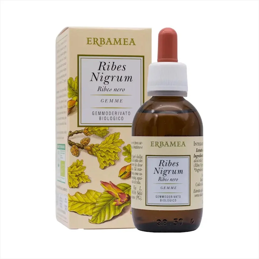ERBAMEA Srl Erbamea, Ribes Nigrum Gemme Gemmoderivato Bio, 50 ml
