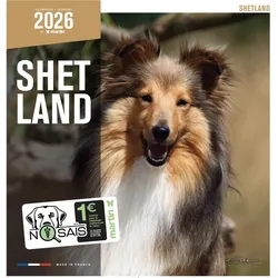 Martin Sellier, Kalender, Shetland