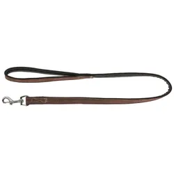 80006 Leine California, braun 20mm/100cm