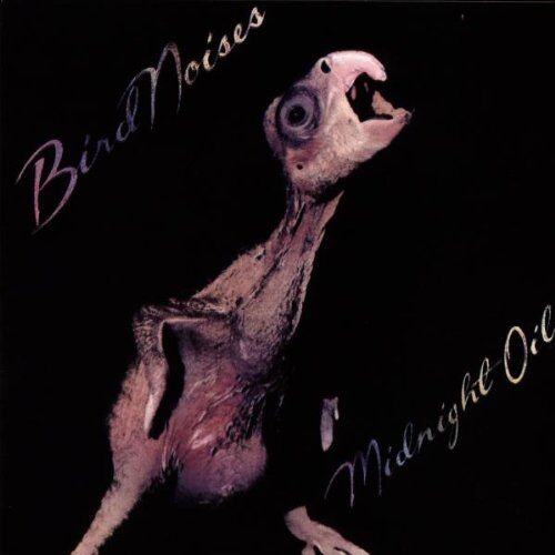 Midnight Oil - Bird Noises - Preis vom 12.10.2026 11:37:12 h