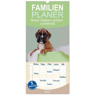 Familienplaner 2027 - Boxer Welpen einfach zuckersüß mit 5 Spalten (Wandkalender, 21 x 45 cm) CALVENDO