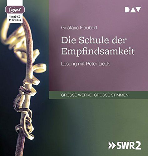 Gustave Flaubert - Die Schule der Empfindsamkeit: Lesung mit Peter Lieck (1 mp3-CD) - Preis vom 30.09.2026 22:30:23 h