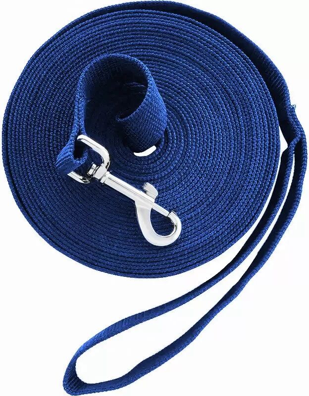 INF 6m Outdoor Trainingsleine für Hunde - Lange Polyesterleine für Rückruftraining Blau