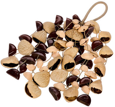 Thomann Seed Shaker Mixed large