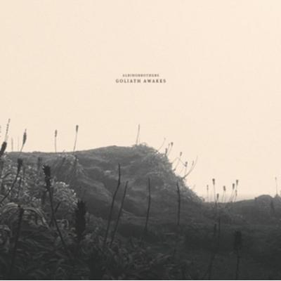 Goliath Awakes - Albinobrothers, Vinyl
