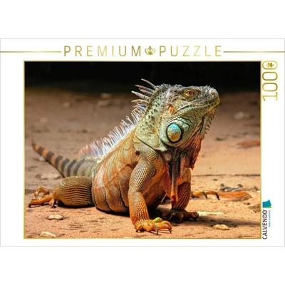 CALVENDO Puzzle Wunderschöner Leguan | 1000 Teile Lege-Größe 64x48cm Foto-Puzzle für glückliche Stunden, Sonstige von , Calvendo Puzzle