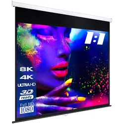 eSmart Professional MIROLO Rollo Leinwand 304,8 cm 120 Zoll
