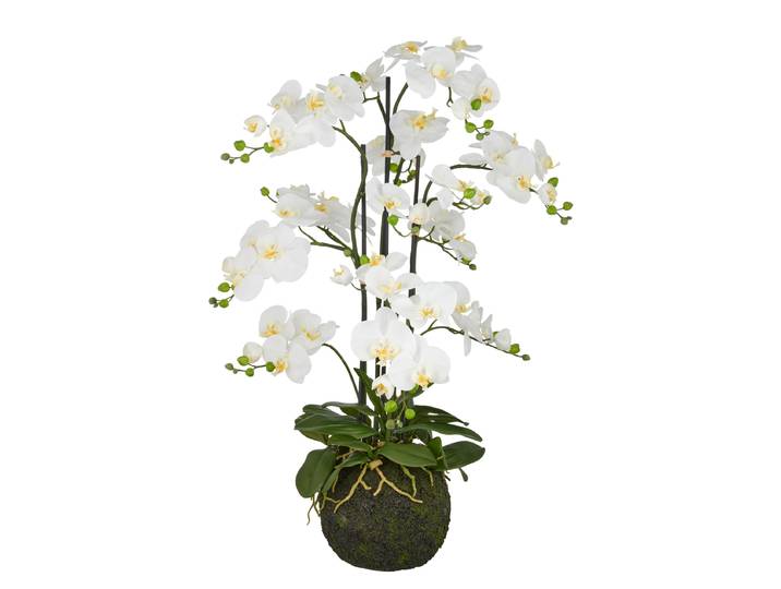 Phalaenopsis artificiel type B 60 x 110 x 60cm