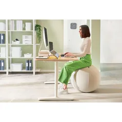 LEITZ Ergo Active Sitzball hellgrau 55,0 cm