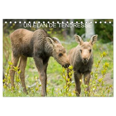 Un élan de tendresse (Calendrier de bureau 2027 DIN A5 vertical), CALVENDO calendrier mensuel