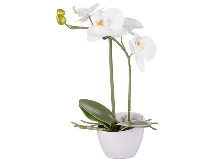 Kunstpflanze Orchidee Ii Orchidee Weiss, Dunkelgrün inkl. Topf