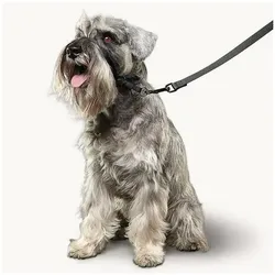 beaphar Zwart (L, Hund), Halsband + Leine