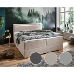 meise.möbel »Cooper I« Boxspringbett inkl. Bettkasten 140x200 cm / FARO grau Nr. 04