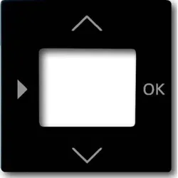 Busch-Jaeger Zentralscheibe Timer Bedienelement 6435-885