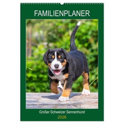 Familienplaner Großer Schweizer Sennenhund (Wandkalender 2026 DIN A2 hoch), CALVENDO Monatskalender