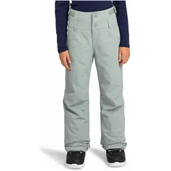 Roxy, Unisex, Skihosen, Diversion (164, 170), Grau
