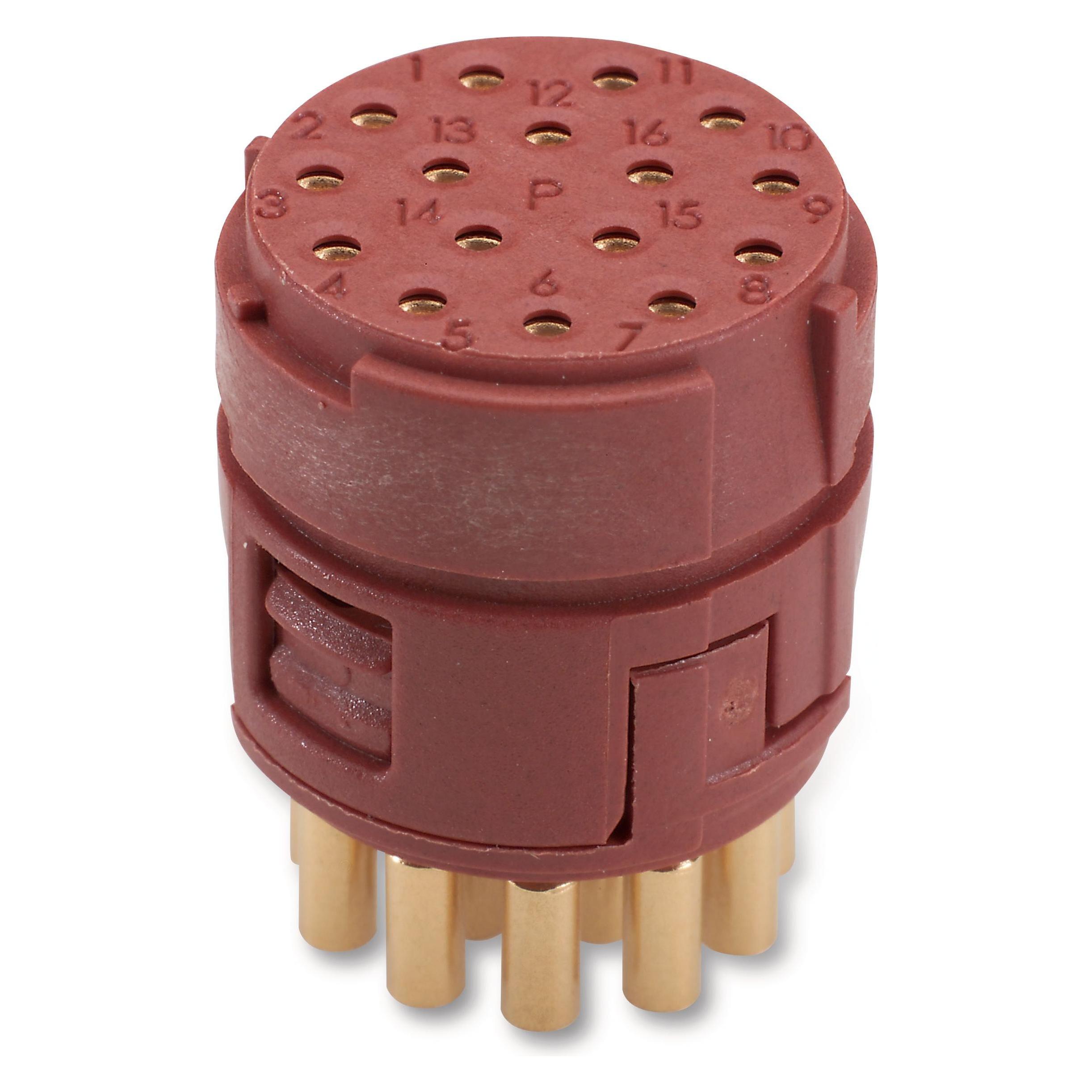 Lapp EPIC SIGNAL M23 P Einsätze, 1 (73002704)