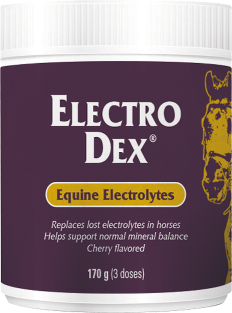 Vetnova Electro Dex Sais Solúveis 170g