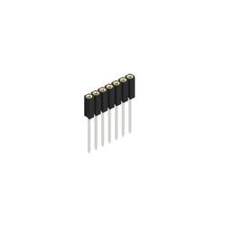 Fischer Elektronik Buchsenleiste (Präzision) Anzahl Reihen: 1 10026880 10 St.