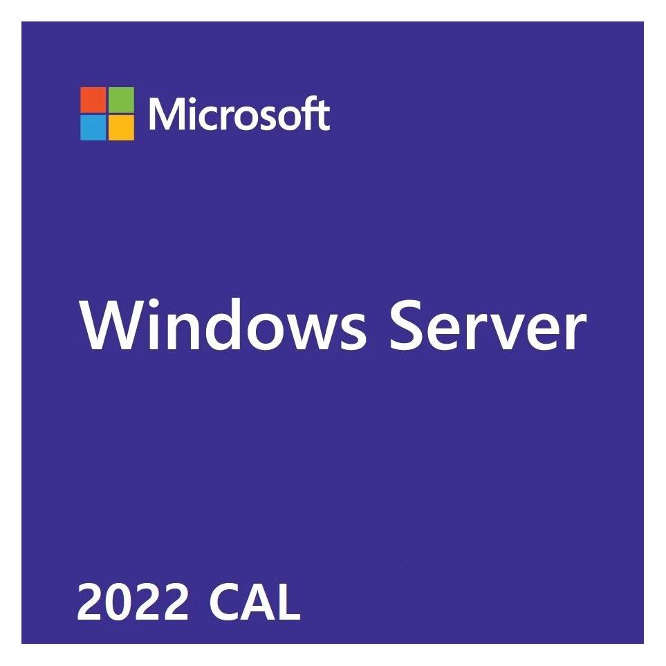 Microsoft Windows Server CAL 2022 English DSP OEI 1 Clt User CAL (1 User, 24 Monate) (R18-06448)