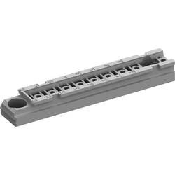 Striebel & John 2CPX010814R9999 TZ601P10 Montageleiste T=225 mm Packeinheit 10 Stück Montageleiste Kunststoff 1 St.
