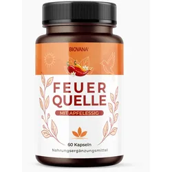 BIOVANA Feuerquelle - Apfelessig-Gewürz-Komplex