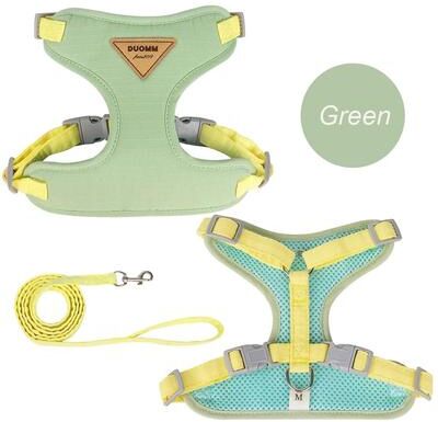 Uplifted Finds Aero Mesh Adventure Harness & Leash Set green l
