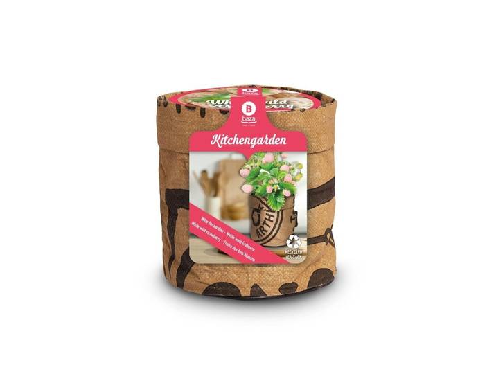 Baza keukentuintje bosaardbei wit