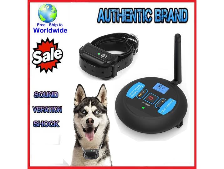 Clôture électrique Rechargeable sans fil pour chien de 200m, bip étanche IP68 + Mode d'entraînement aux chocs, combinaison émetteur et collier