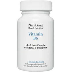 Vitamin B6 120 ST