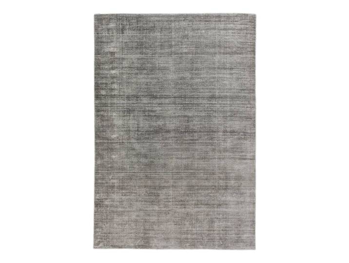 Teppich Alessa Silber/Silber 170 x 240cm Webstoff