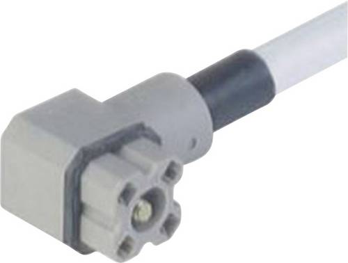 Hirschmann Steckverbinder für Steuerspannung der G-Serie Grau G 4KW 1 F 2M Pole:4 931 805-602-100 Inhalt: 100St.
