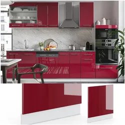 VICCO Geschirrspülerfront 60 cm Bordeaux Hochglanz Küchenschrank Blende Küchenzeile Fame-Line