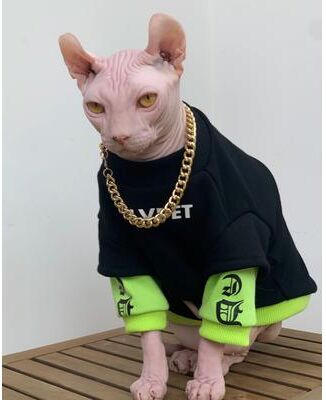 Inspired Finds Sphynx & Devon Rex Winter Cotton Sweatshirt For Cats Soft Sphynx Cat Clothing Warm Long Sleeve Pet Pajama l