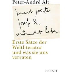 Jemand musste Josef K. verleumdet haben ...', Fachbücher von Peter-André Alt