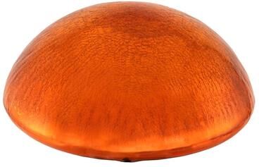 Achla Designs Glass Toadstool Gazing Globe Ball, 9 Inch Diameter, Cobalt Blue