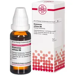 DIOSCOREA VILLOSA D 6 Dilution 20 ml