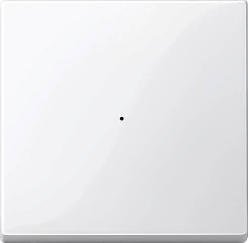 Merten KNX Systeme 619119 Tasterwippe 619119
