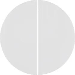 Berker 85648139 KNX-Funk Taste 4f quickl R.1/R.3 pw
