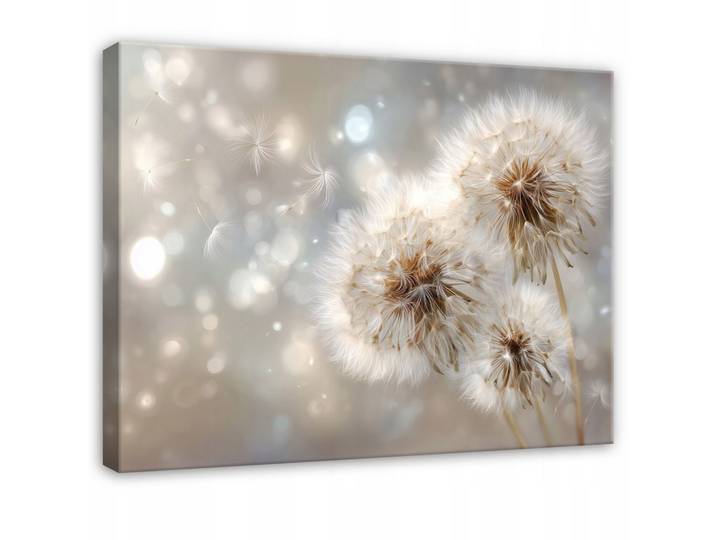 LEINWANDBILD Pusteblumen Blumen Beige 60x40 cm
