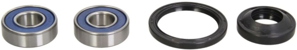 Radlagersatz ALL BALLS AB25-1069