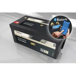 FORSTER 300Ah 12,8V Lithium LiFePO4 Premium Batterie 200A-BMS-2.1... - 0% MwST. (Angebot gemäß §12 USt Gesetz.)