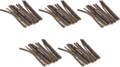 Inspire Curations SilverVine Bliss Natural Catnip Sticks For Cats Dental Chew Toys 50pcs