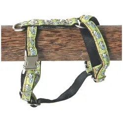 Image Oli (S, Hund, Spazieren), Halsband + Leine