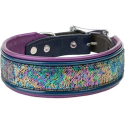 Barry King Obroża skórzana, 42-49 cm/42 mm, fioletowa (Hund), Halsband + Leine